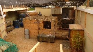 Disparando a objetivos dinámicos 